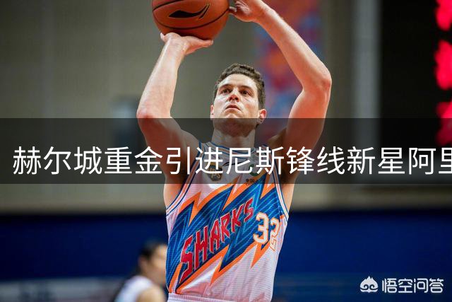 赫尔城重金引进尼斯锋线新星阿里乔